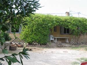 Location villa T3 à Vidauban 83 proche centre terrasse et jardin